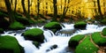 a stream running through a lush green forest filled with trees and rocks in the fall season Royalty Free Stock Photo