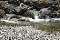 Stream running over lichen covered rocks creating tiny waterfalls on its way to the gravel creek bed Royalty Free Stock Photo