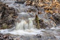 The stream runs through the forest floor Royalty Free Stock Photo