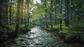 A stream s through the forest acting as a natural gateway for data to flow through the decentralized network