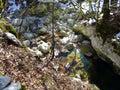 Stream of the Sava Bohinjka River just after the source of the Savica, Triglav National Park - Ukanc, Slovenia Royalty Free Stock Photo