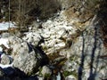 Stream of the Sava Bohinjka River just after the source of the Savica, Triglav National Park - Ukanc, Slovenia Royalty Free Stock Photo