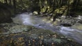 Stream in Scottish woodland.Fairytale autumn scene Royalty Free Stock Photo