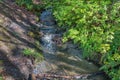 Stream At Seahurst Park Royalty Free Stock Photo