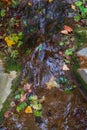 a stream is seen running over rocks and leaves in the fall Royalty Free Stock Photo