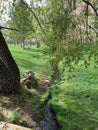 A stream runs through the lawn. Royalty Free Stock Photo