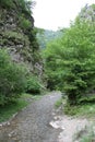 Stream in the shadow of a high cliff 0838