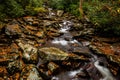 Stream with silky water in the Great Smoky Mountains National Park, Tennessee, USA. Royalty Free Stock Photo