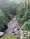 Stream at Corbett