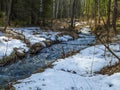 The stream of snow melt in the forest.