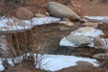 Stream with Snow and Rocks Royalty Free Stock Photo