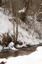 Stream in the snowy mountains. Mountain river. Carpathians. Ukraine. Selective focus Royalty Free Stock Photo