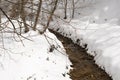 Stream in the snowy mountains. Mountain river. Carpathians. Ukraine. Selective focus. Royalty Free Stock Photo