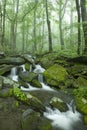 Stream, Spring Landscape, Great Smoky Mtns NP Royalty Free Stock Photo