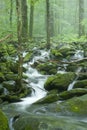 Stream, Spring Landscape, Great Smoky Mtns NP Royalty Free Stock Photo