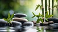 Stream stones and bamboo shoots feng shui spa. Generative AI,