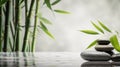 Stream stones and bamboo shoots feng shui spa. Generative AI,