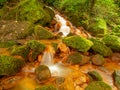 Stream at Sucha Kamenice iriver n the national park