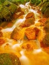 Stream at Sucha Kamenice iriver n the national park