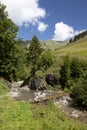 Stream in the Swiss mountains during summer