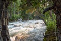 Stream and trees out west Royalty Free Stock Photo