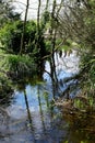 Stream and Trees, Oxburgh Hall, Oxborough, Norfolk, England, UK Royalty Free Stock Photo