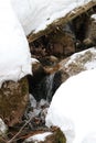 Stream trickle Franconia Notch State Park Lonesome lake trail