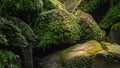 Stream in the tropical forest Royalty Free Stock Photo