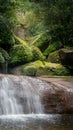 Stream in the tropical forest Royalty Free Stock Photo