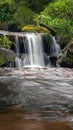 Stream in the tropical forest Royalty Free Stock Photo