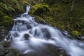 Stream on Orcas Island in the Puget Sound of Washington State.