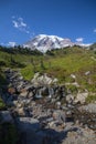 Stream across alpine meadows leads to views of Mount Rainier