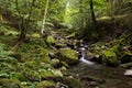 Stream in Tuscany forest Royalty Free Stock Photo