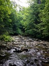 Stream in Vermont