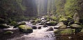 Stream of Vydra river Royalty Free Stock Photo