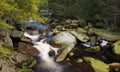 Stream of Vydra river Royalty Free Stock Photo