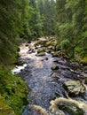 Stream of the Vydra river surrounded by forrest in the valley in Sumava mountains