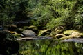 The stream is on a walking path in the forest in Phu Kradueng National Park, Loei Province Royalty Free Stock Photo