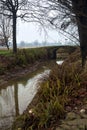 Stream of water bordered by a row of trees and a path with a small brick bridge in the italian countryside on a misty day Royalty Free Stock Photo