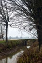 Stream of water bordered by a row of trees and a path with a small brick bridge in the italian countryside on a misty day Royalty Free Stock Photo