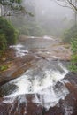 Stream with Water Flow going away in Misty Forest, Kerala, India