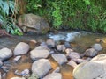 A stream of water flowing alongside a bed of rocks and plants in a beautiful garden