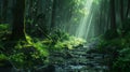 A stream of water flowing through a forest with sunlight shining on it, AI Royalty Free Stock Photo