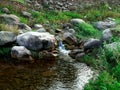 Stream water flowing from upwards to downwards Royalty Free Stock Photo