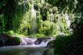 A stream of water flows through a lush green forest Royalty Free Stock Photo