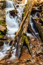 A stream of water flows over a pile of logs Royalty Free Stock Photo