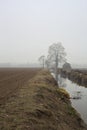 Stream of water that leads to a group of trees and a small bridge on a foggy day in the italian countryside