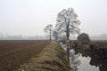 Stream of water that leads to a group of trees and a small bridge on a foggy day in the italian countryside