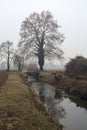 Stream of water that leads to a group of trees and a small bridge on a foggy day in the italian countryside
