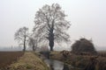 Stream of water that leads to a group of trees and a small bridge on a foggy day in the italian countryside